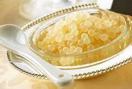 Makanan Termahal Di Dunia 2023