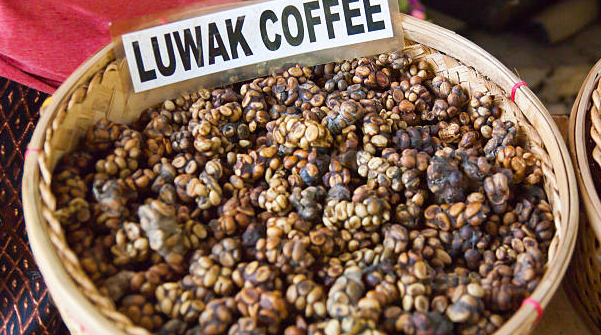 Kopi Luwak